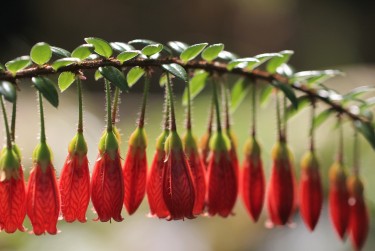 中山坦洲私人快速借钱网，轻松解决资金难题