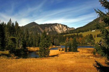 中山坦洲民间私贷攻略：揭秘低成本借贷的秘密