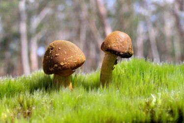 中山坦洲私人老板放款：轻松融资的秘密通道